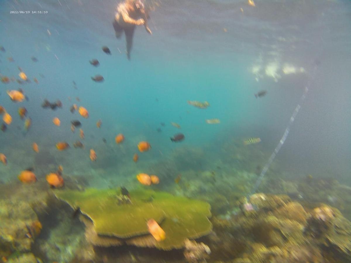 Griya Nusa Batununggul Bagian luar foto